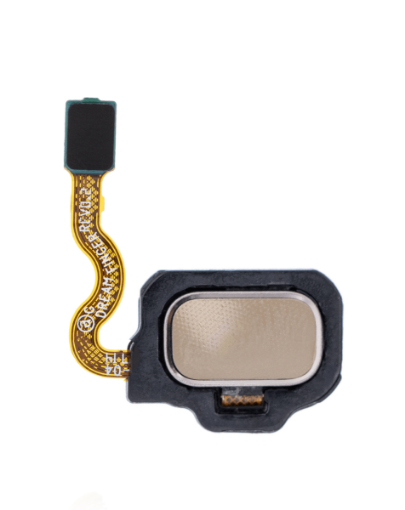 Picture of Fingerprint Sensor with Flex Cable for Galaxy S8+ / S8 (MAPLE GOLD)