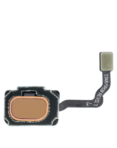 Picture of Fingerprint Sensor with Flex Cable for Galaxy S9+ / S9 (GOLD)