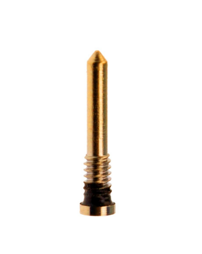 Picture of Bottom Screw for iPhone X to 14 Pro Max (GOLD) (Pack of 20)