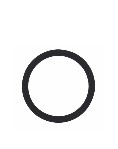 Picture of Back Camera Lens with Adhesive for iPhone 6SP / 6P (Glass Only) (Pack of 10)